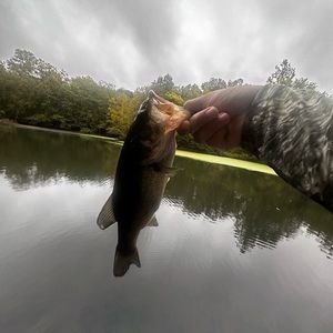 Meet your Posher, Edwin